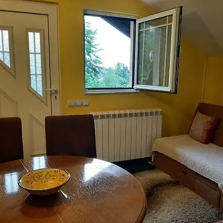 Junior ズラティボール