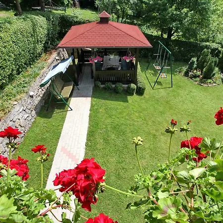 Junior ズラティボール