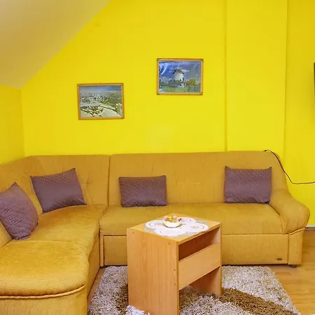 Junior ズラティボール