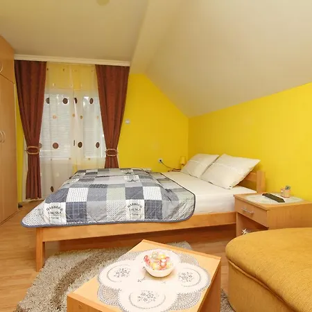 Junior Zlatibor