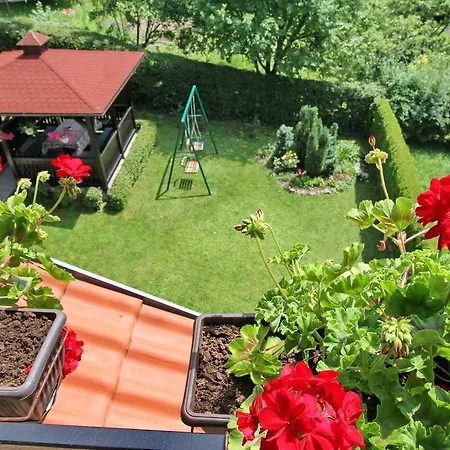 Junior * ズラティボール