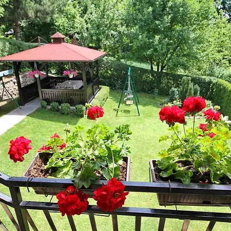 Apartment Junior Zlatibor